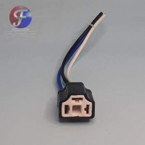 Enchufe H4